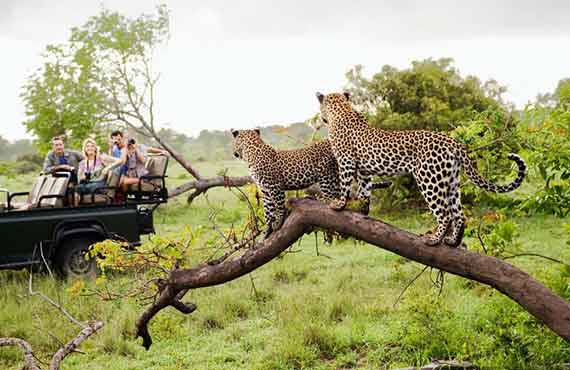 Balbina Safari team vehicle on the Serengeti