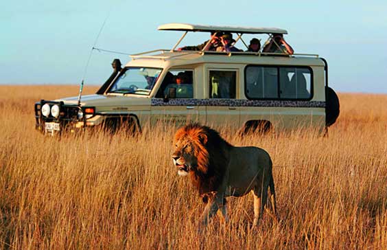 Romantic bush dinner setup under the African stars